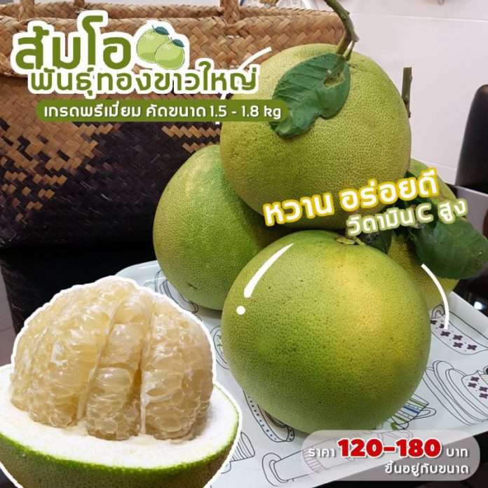 S__23322999