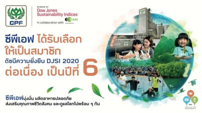 CPF DJSI 2020 small