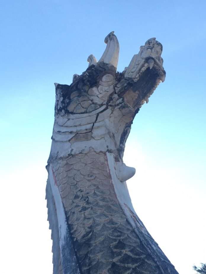 S__18366489