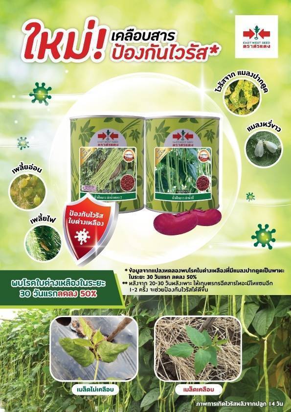 Leaflet A4 YLB Coated-A