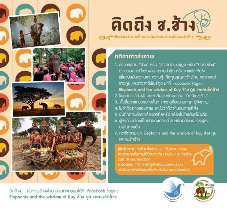 อันดับหนึ่ง 101+ ภาพพื้นหลัง ส่ง ภาพ ประกวด อัปเดต