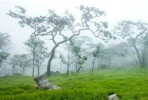 หนาว ไทย
