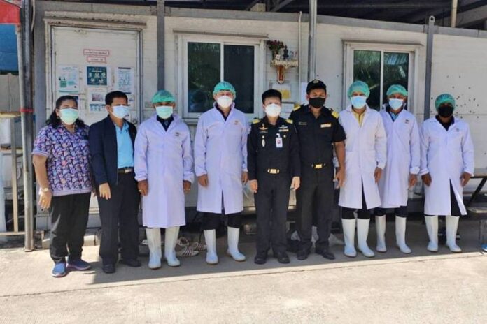 1 โรงชำแหละมะกอกเหนือ จังหวัดพัทลุง2