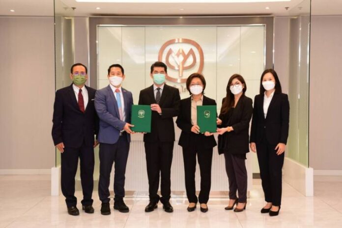 CPF-DSM