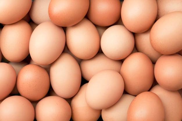 fresh-eggs 3