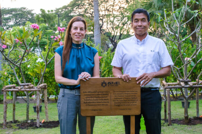 Tree Planting with Bkk-142