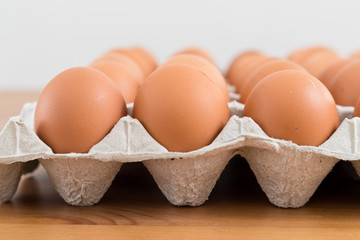 fresh egg 26