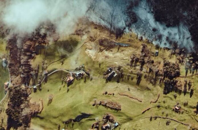Rice Field fire 2