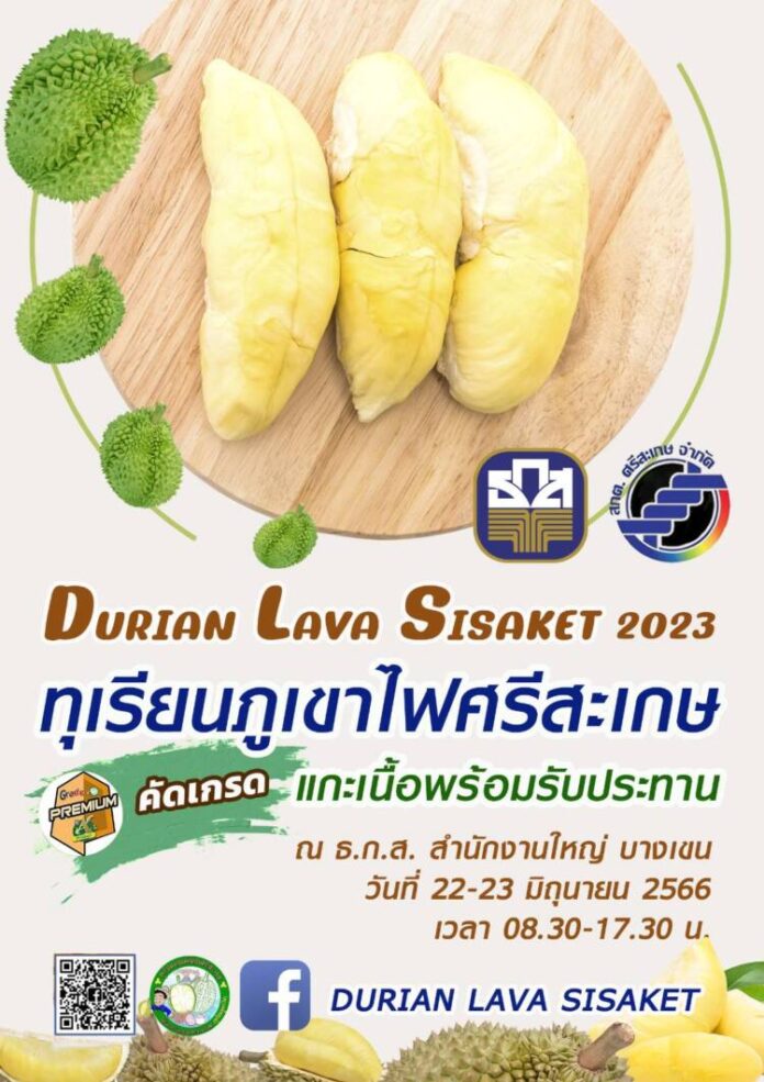 durian lava srisaket