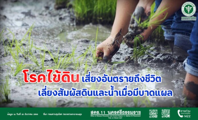 โรคไข้ดิน5มค67