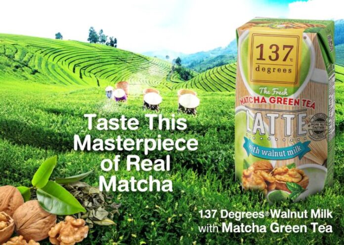 137degrees Walnut Milk with Matcha green tea