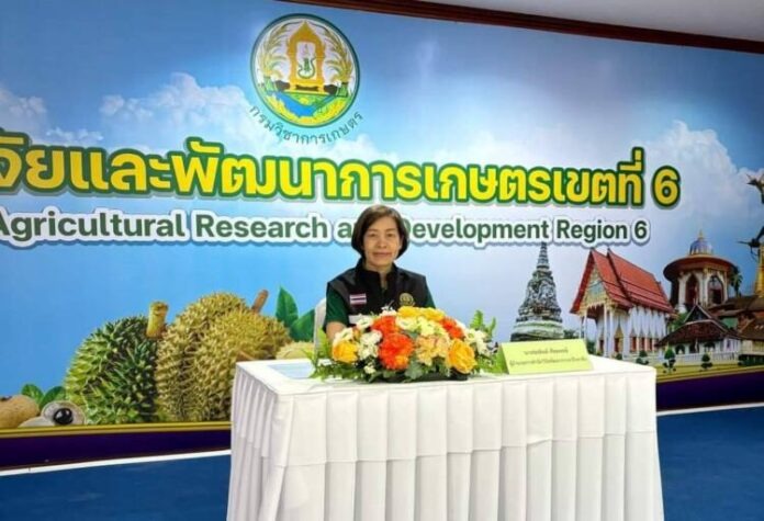 นางช่อทิพย์ ศัลยพงษ์ ผู้อำนวยการสำนักวิจัยพัฒนาการอารักขาพืช (1)