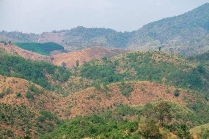 natural-scenery-tropical-forest-with-mountains-southeast-asia(1)