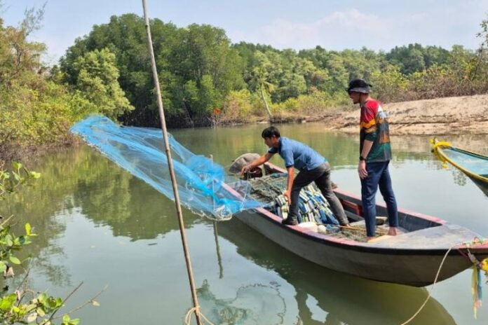 Trat1_0