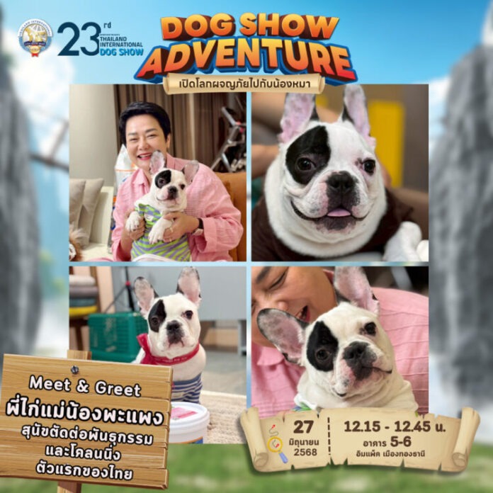 Dog25 - AW กิจกรรม - k9