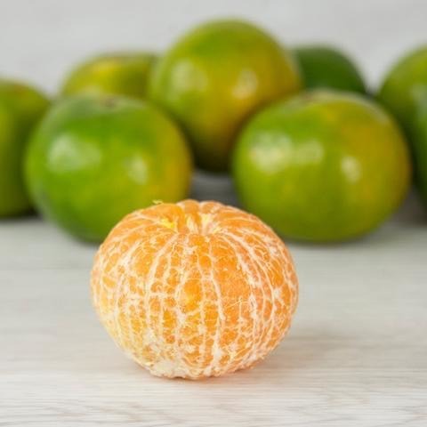 S__28082360_0