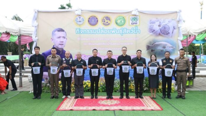 samut1_0