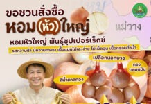 “กรมส่งเสริมสหกรณ์” เตรียมเชื่อมเครือข่ายสหกรณ์ทั่วไทยระบายหอมหัวใหญ่จากแหล่งผลิต 4 สหกรณ์ในจังหวัดเชียงใหม่
