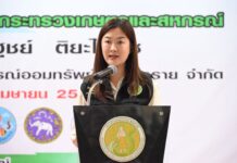 ลุยแก้ปัญหาสินค้าเกษตร! กรมส่งเสริมสหกรณ์ ผนึกกำลัง สหกรณ์ไทย ระบายด่วนนมอ.ส.ค.และผลไม้ฤดูกาล