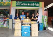 ผนึกเครือข่ายสหกรณ์ทั่วไทย เร่งระบายมะม่วงGIพิษณุโลก