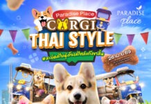พาราไดซ์ เพลส รวมพลคนรักคอร์กี้ ในงานธีมไทยสุดคิ้วท์ “The Corgi Thai Style Meeting”