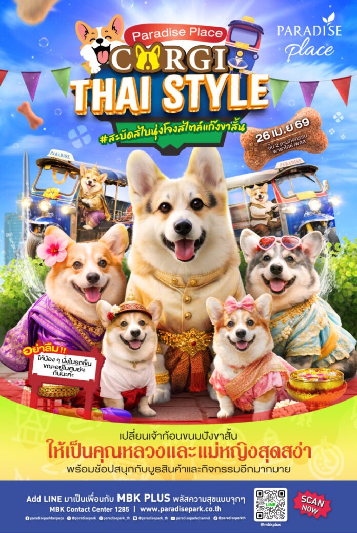 corgi-thai-style_edit
