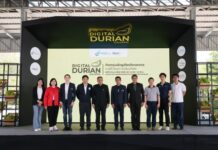 ดีป้า ผนึกกำลัง ซีพี แอ็กซ์ตร้า หนุนชาวสวนทุเรียนดิจิทัล ขยายโอกาสสู่ตลาดคุณภาพ