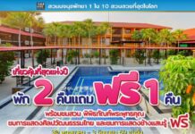 หยุดยาวนี้ต้องพุ่ง! สวนนงนุชจัดโปรแรง พัก 2 แถม 1 ชมสวนระดับโลกและโชว์ฟรี 5 วันเท่านั้น