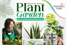 ชวนช้อปต้นไม้ฟอกอากาศ เติมความสดชื่นให้ทุกมุมโปรด ในงาน “Plant Garden” @พาราไดซ์ พาร์ค