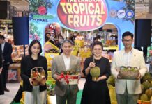 พาณิชย์ ยกทัพผลไม้ไทยบุกพารากอน เปิด Thailand : The land of tropical fruits เชิญทูต 15 ประเทศร่วมชิม–ชมศักยภาพผลไม้ไทย ต่อยอดตลาดส่งออก