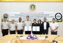 กรมอุทยานฯ จับมือ World Animal Protection ปูพรมยกระดับสวัสดิภาพและตัดวงจรค้าสัตว์ป่าทั่วไทย