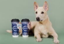 CHAGEE ผนึก Soi Dog เปิดแคมเปญ “Sip for Paws” ชวนลูกค้าเปลี่ยนคะแนนเป็นเงินบริจาคช่วยเพื่อนสี่ขา