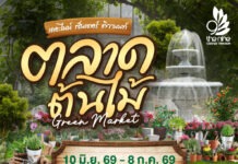 ปักหมุดพิกัดเขียว! เดอะไนน์ เซ็นเตอร์ ติวานนท์ ชวนช้อปฟินในงาน ตลาดต้นไม้Green Market ของคนรักสวน