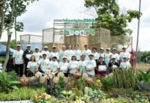 SIG จับมือ WWF ประเทศไทย เผยความคืบหน้า โครงการ Forests Forward ปีที่ 2