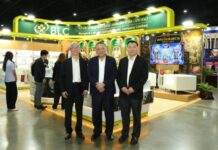 ทางรอดเกษตรกรไทย! BLC ชู ‘ทศมณี’ ในงานสมุนไพรแห่งชาติ หนุนปลูกไพลทดแทนอ้อย ลดเผา-สร้างเศรษฐกิจยั่งยืน