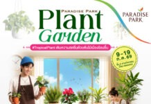 ชวนเติมความสดชื่นให้บ้าน ในงาน Plant Garden #Tropical Plants 9-19 ก.ค. นี้ @พาราไดซ์ พาร์ค