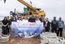 ล้ำไปอีกขั้น! SCG พลิกโฉม 3D Printing ชุบชีวิตทะเลไทย ต่อยอดสู่โซลูชันโครงสร้างพื้นฐานสีเขียว