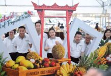 รมช.ปิยะรัฐชย์ เปิดงาน “Thailand : The Land of Tropical Fruits” ยกทัพผลไม้ 4 ภาคสู่ใจกลางกรุง เชื่อมตลาดสหกรณ์สู่ผู้บริโภค