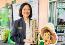 “ยกระดับมันสำปะหลังไทย! ก.เกษตรฯ คุมใบด่าง 30% ชูแปลงใหญ่พุประดู่ฯ ปรับโฉมสู่ ‘บริษัทเกษตรกร'”
