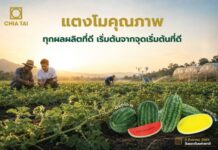 “เจียไต๋” ชูแนวคิด “จุดเริ่มต้นที่ดี” ต่อยอดความเชี่ยวชาญเมล็ดพันธุ์แตงโม ยกระดับคุณภาพผลผลิตเกษตรกร