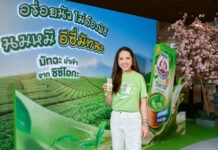 “นมตราหมีเอ็นริช” คอลแลบ Katsu Midori Sushi ซูชิสายพานอันดับ 1 จากโตเกียว เสิร์ฟเมนูใหม่ “นมหมี อีซี่มัทฉะ”