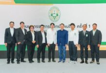พาราไดซ์ พาร์ค ร่วมส่งต่อองค์ความรู้การแพทย์แผนไทย สนับสนุนพื้นที่จัดงาน “มหกรรมการแพทย์แผนไทย”