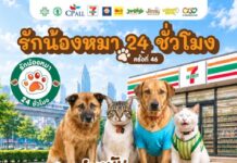 ซีพี ออลล์ ชวนชาวบางนาพาสัตว์เลี้ยงร่วมโครงการ “รักน้องหมา 24 ชั่วโมง” ครั้งที่ 46 บริการฉีดวัคซีน ทำหมัน ฝังไมโครชิป ฟรี! 25 ก.ย. นี้