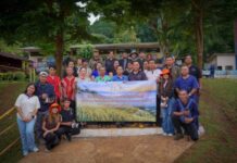 “กรมการข้าว” ลุยแม่ฮ่องสอน อนุรักษ์ข้าวพื้นเมือง 700 สายพันธุ์ เดินหน้าพัฒนาข้าวพื้นที่สูง สร้างความมั่นคงทางอาหารชุมชน