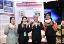 ซีพี ออลล์ โชว์วิสัยทัศน์ใน GCNT Expo 2026 ร่วมพาไทย SHIFT สู่เศรษฐกิจเติบโตและยั่งยืน