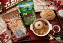 แบรนด์เฮอริเทจ ชวนทำเมนูเพื่อสุขภาพสุดพรีเมียม “สาลี่ตุ๋นอำพันดอกท้อ” หวานละมุน ชุ่มคอ พร้อมบำรุงผิวพรรณจากภายใน