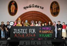 องค์กรพิทักษ์สัตว์แห่งโลก ลุย Bangkok Climate Action Week 2026 ชวนสังคมย้อนมอง “ต้นทุนที่ซ่อนอยู่” ของระบบอาหาร