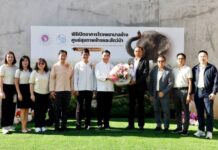 วิริยะประกันภัย ร่วมแสดงความยินดี พิธีเปิดอาคารโรงพยาบาลช้าง ศูนย์สุขภาพช้างและสัตว์ป่า มหาวิทยาลัยเชียงใหม่