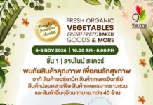 สายเฮลตี้ห้ามพลาด! “Bangkok Farmers Market” ยกทัพผักผลไม้ปลอดสาร ส่งตรงจากสวนลงเดอะไนน์ พระราม 9 (4-8 พ.ย.)