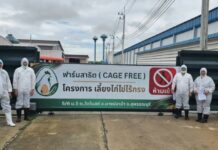 Cage-Free Farm Co. และ Lever Foundation ร่วมมือทำให้ไข่ไก่ปลอดกรงมีราคาที่เข้าถึงได้มากขึ้นสำหรับธุรกิจในกรุงเทพฯ